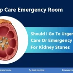 Emergency care for kidney stones: kidney cross-section showing when to choose urgent care or the emergency room.